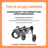 Rooster Farms Large Dog Wheelchair XXL Harness - Adjustable Back Leg Aid - Front View