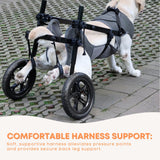 Rooster Farms Large Dog Wheelchair XXL Harness - Adjustable Back Leg Aid - Close-Up Angle