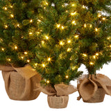 Christabelle Set of 3 Pre-Lit Christmas Trees Green Pine w/LED Lights, Hessian Base & Individual Plugs Varying Heights - 45-Degree Angle