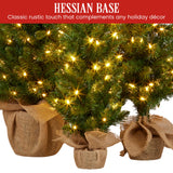 Christabelle Set of 3 Pre-Lit Christmas Trees Green Pine w/LED Lights, Hessian Base & Individual Plugs Varying Heights - Low Angle