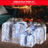 Sparkling Holiday Gift Box Set with LED Lights and Silver Accents - Rear View