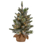 Christabelle 61cm Pre-Lit Snowy Stamford Spruce Battery-Operated Mini Christmas Tree Multi-Functional LED Timer