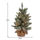 Christabelle 61cm Pre-Lit Snowy Stamford Spruce Battery-Operated Mini Christmas Tree Multi-Functional LED Timer - Front View