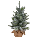 Christabelle 61cm Pre-Lit Snowy Stamford Spruce Battery-Operated Mini Christmas Tree Multi-Functional LED Timer - Top-Down View