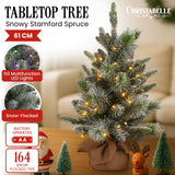 Christabelle 61cm Pre-Lit Snowy Stamford Spruce Battery-Operated Mini Christmas Tree Multi-Functional LED Timer - Low Angle