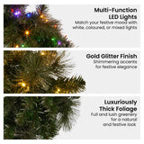 Christabelle 61cm Christmas Wreath with LED Lights Glittery Gold Pine re-Lit Front Door Decoration Ornament - Rear View
