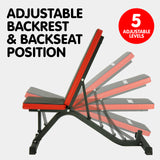 Powertrain Adjustable Incline Decline Home Gym Bench - 45-Degree Angle