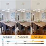 BAMDECOR A022 Modern Designer Infinity LED Chandelier Island Ceiling Pendant Light (120/150cm-Silver) - 45-Degree Angle