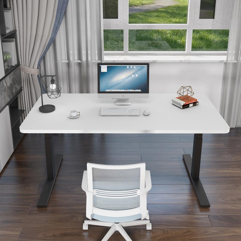 120cm Standing Desk Height Adjustable Sit White Stand Motorised Dual Motors Frame Birch Top