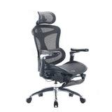SIHOO A3 Doro C300 Ergonomics Executive Office Chair with Footrest Black - Extra Image