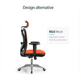 Sihoo M18 Ergonomic Office Chair Computer Chair Desk Chair High Back Chair Breathable3D Armrest and Lumbar Support