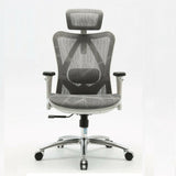 Sihoo M57 Ergonomic Office Chair Computer Chair Desk Chair High Back Chair Breathable3D Armrest and Lumbar Support Grey without Footrest
