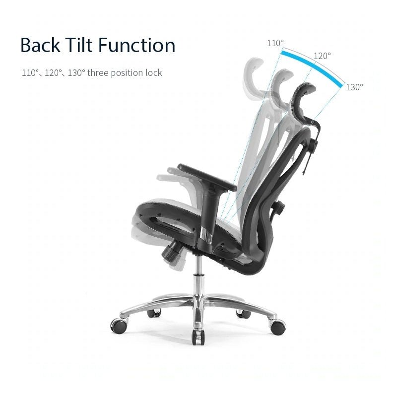 Sihoo M57 Ergonomic Office Chair Computer Chair Desk Chair High Back Chair Breathable3D Armrest and Lumbar Support Grey without Footrest