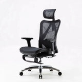 Sihoo M57 Ergonomic Office Chair Computer Chair Desk Chair High Back Chair Breathable3D Armrest and Lumbar Support Grey without Footrest