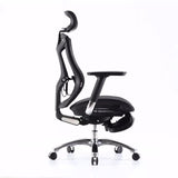 Sihoo Ergonomic Office Chair V1 4D Adjustable High-Back Breathable With Footrest And Lumbar Support Grey - Low Angle