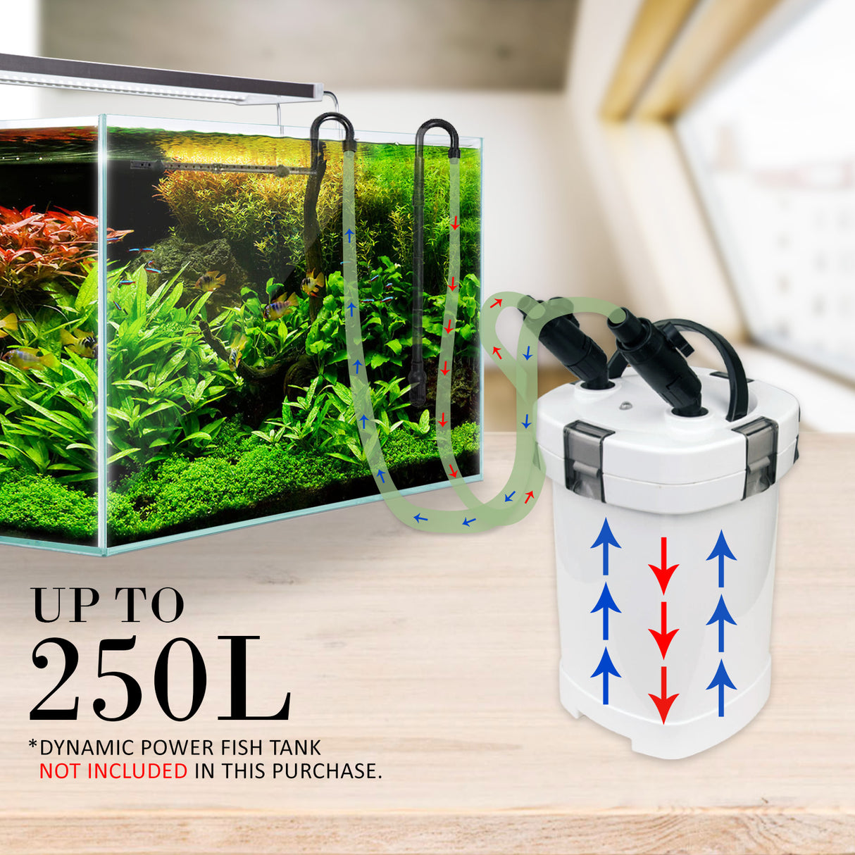 High-Performance 1000L/H External Canister Filter for Aquariums