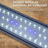 27W Set 2 Aquarium Blue White LED Light for Tank 95-115cm - Top-Down View