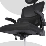 Work Office Chair - Lumber Support Flip-up Armrest Adjustable Headrest SITIO - Black
