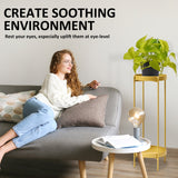 Plant Stand 80cm Planter Shelf Rack Display Steel 2 Tier GOLD - Top-Down View