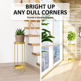 Plant Stand 80cm Planter Shelf Rack Display Steel 2 Tier GOLD - Low Angle