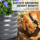 2X Raised Garden Bed Galvanised Steel Planter Oval 240 x 80 x 45cm GREY - Rear View