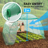 Greenhouse Walk-In Shed 4x3x2M PE Dome Hoop Tunnel Polytunnel - Low Angle