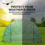 Greenhouse Walk-In Shed 6x3x2M PE Dome Hoop Tunnel Polytunnel - Side View