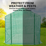 Garden Greenhouse Shed PE Cover Only 350m Apex - Side View