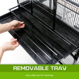 Bird Cage Parrot Aviary MELODY 137cm - Low Angle