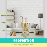 Cat Tree Multi Level Scratcher SOHO 130cm BEIGE - Top-Down View