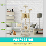 Cat Tree Multi Level Scratcher PARALA 201cm BEIGE - Top-Down View