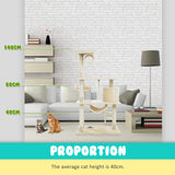 Cat Tree Multi Level Scratcher MAPLE 140cm BEIGE - Top-Down View