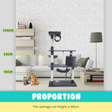 Cat Tree Multi Level Scratcher MAPLE 140cm GREY - Top-Down View