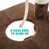 Cat Tree Multi Level Scratcher FUJI 170cm BROWN - Close-Up Angle