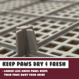 Dog Pet Potty Tray Training Toilet Raised Walls T1 WINE - Rear View