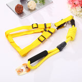 YES4PETS 2 X Medium Pet Dog Puppy Dog Harness Collar leash lead - Front View