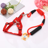 YES4PETS 2 X Medium Pet Dog Puppy Dog Harness Collar leash lead - Side View