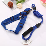YES4PETS 2 X Medium Pet Dog Puppy Dog Harness Collar leash lead - Top-Down View