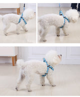 YES4PETS 2 X Medium Pet Dog Cat Puppy Kitten Rabbit Dog Harness Collar leash lead 5 Color