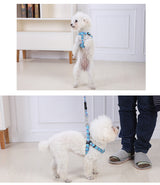 YES4PETS 2 X Medium Pet Dog Cat Puppy Kitten Rabbit Dog Harness Collar leash lead 5 Color - Close-Up Angle