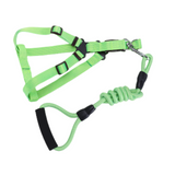 YES4PETS 2 X Medium Pet Dog Cat Puppy Kitten Rabbit Dog Harness Collar leash lead 3 Color - Front View