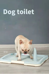 YES4PETS Medium Portable Dog Potty Training Tray Pet Puppy Toilet Trays Loo Pad Mat Blue - Side View