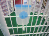 YES4PETS Pet Hanging Water Bottle No Drip Water Dispenser Rabbit Dog Cat Drinking Bottle-Blue - Front View