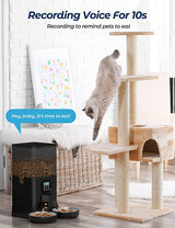 YES4PETS 6L Automatic Digital Pet Dog Cat Feeder Double Food Bowl Dispenser - Top-Down View