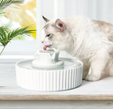 YES4PETS Ceramic Electric Pet Water Fountain Dog Cat Water Feeder Bowl Dispenser - 45-Degree Angle