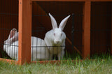 YES4PETS Double Storey Rabbit Hutch Guinea Pig Cage , Ferret cage W Pull Out Tray - Side View