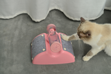 YES4PETS Cat Play Box Kit Pet Toy Kitten Toys Interactive Ball Peek Hunting Toy-Pink - Top-Down View