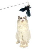 YES4PETS  2 X Pet Cat Toys Retractable Feathers Teaser Cat Stick Interactive Play - Front View