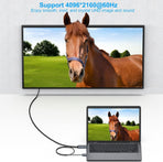 BENFEI 344GY-1M HDMI to DisplayPort Unidirectional 4K Active Cable with USB Powered 1M