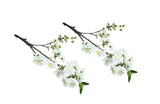 Artificial Single Stem Cherry Blossom 49cm -White - Set of 2 Bunch